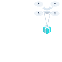 Network Icon